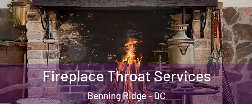Fireplace Throat Services Benning Ridge - DC