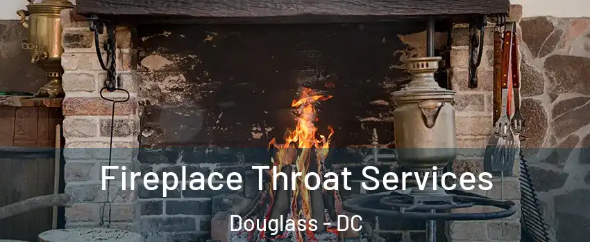 Fireplace Throat Services Douglass - DC