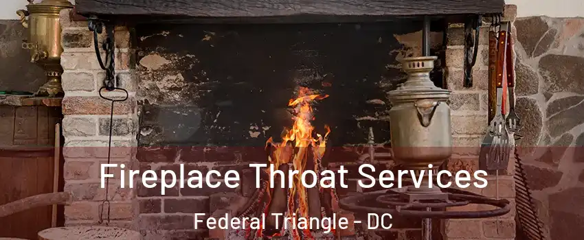 Fireplace Throat Services Federal Triangle - DC