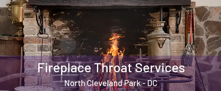 Fireplace Throat Services North Cleveland Park - DC