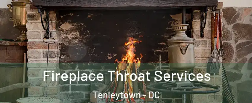 Fireplace Throat Services Tenleytown - DC