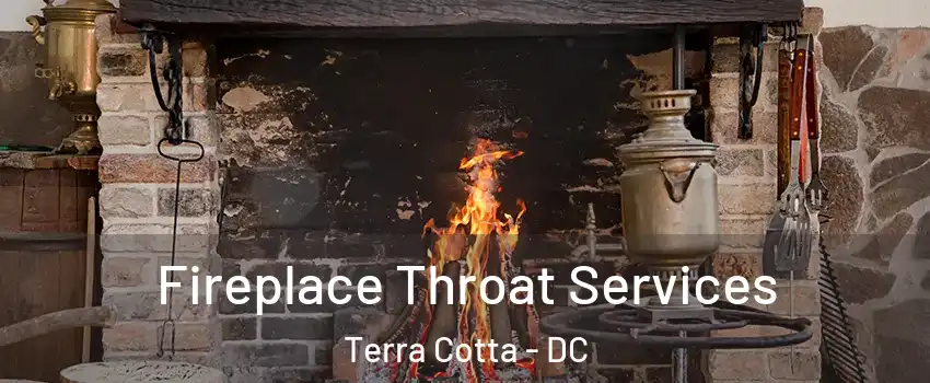 Fireplace Throat Services Terra Cotta - DC