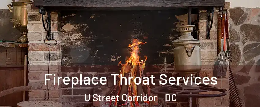 Fireplace Throat Services U Street Corridor - DC