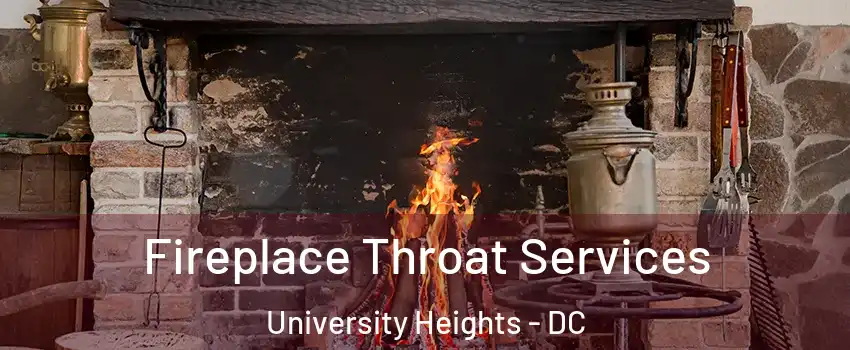 Fireplace Throat Services University Heights - DC