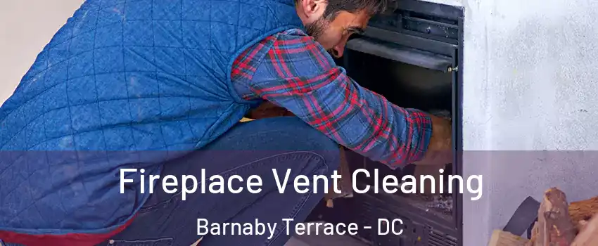 Fireplace Vent Cleaning Barnaby Terrace - DC