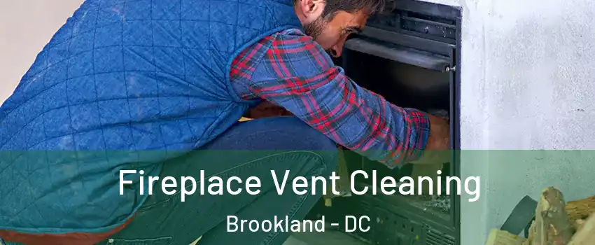 Fireplace Vent Cleaning Brookland - DC