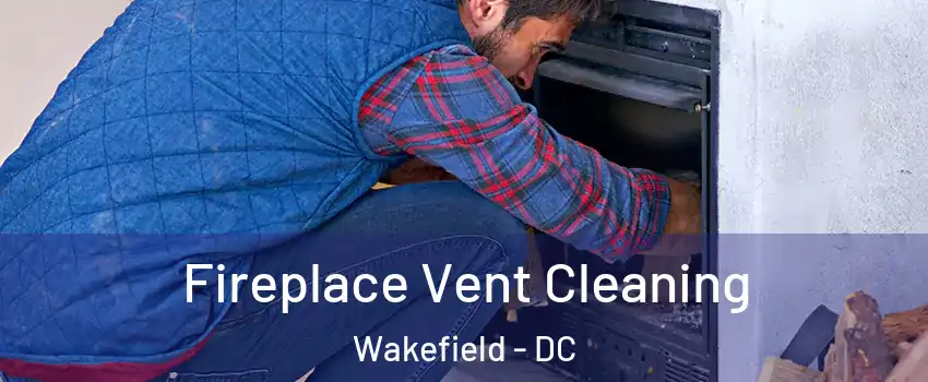 Fireplace Vent Cleaning Wakefield - DC