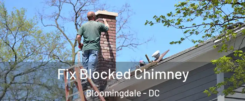 Fix Blocked Chimney Bloomingdale - DC