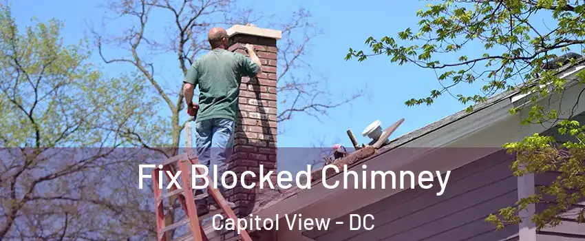 Fix Blocked Chimney Capitol View - DC