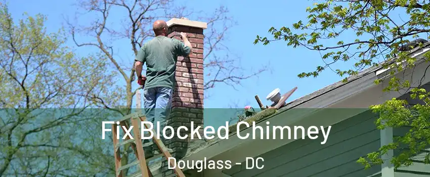 Fix Blocked Chimney Douglass - DC