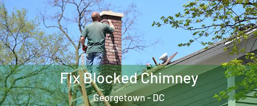 Fix Blocked Chimney Georgetown - DC