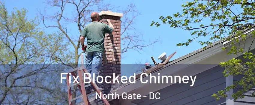 Fix Blocked Chimney North Gate - DC