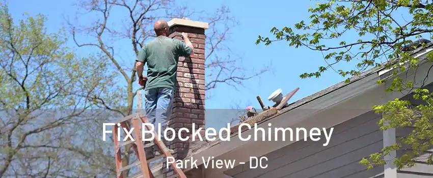 Fix Blocked Chimney Park View - DC