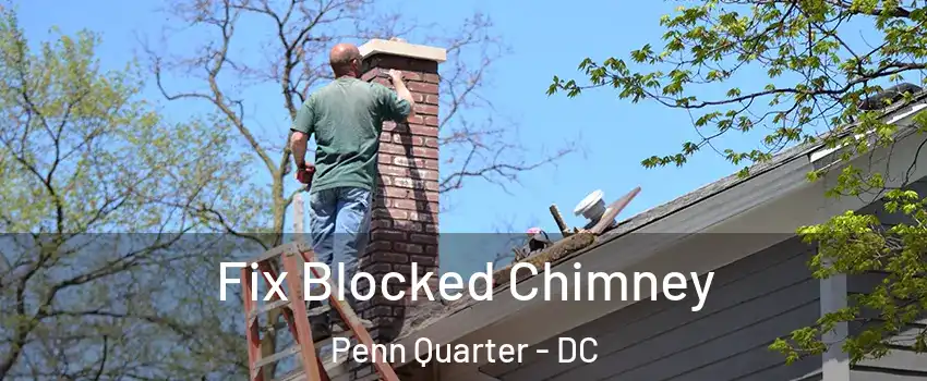 Fix Blocked Chimney Penn Quarter - DC