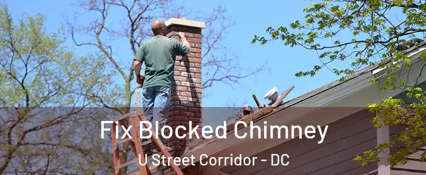 Fix Blocked Chimney U Street Corridor - DC