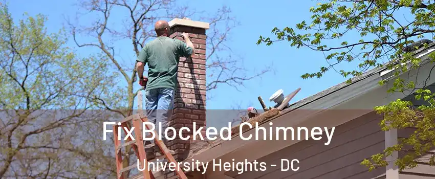 Fix Blocked Chimney University Heights - DC