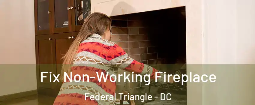 Fix Non-Working Fireplace Federal Triangle - DC