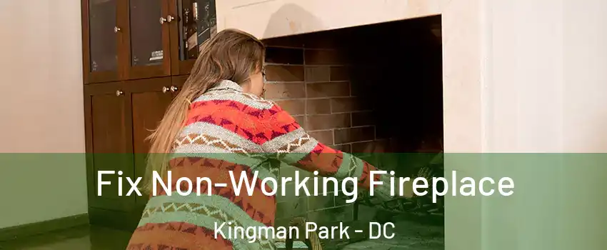 Fix Non-Working Fireplace Kingman Park - DC