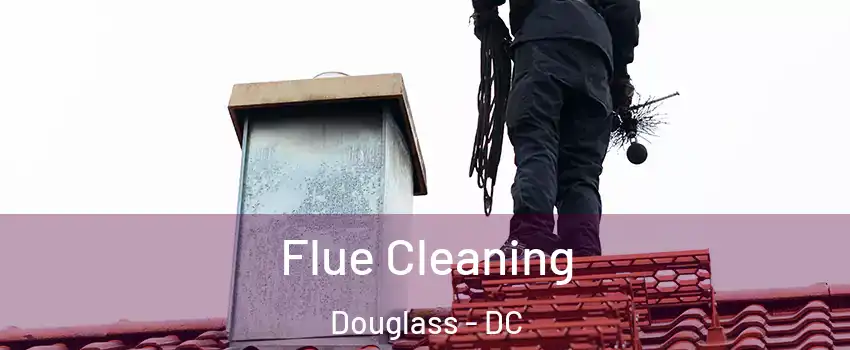 Flue Cleaning Douglass - DC