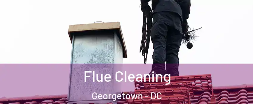 Flue Cleaning Georgetown - DC