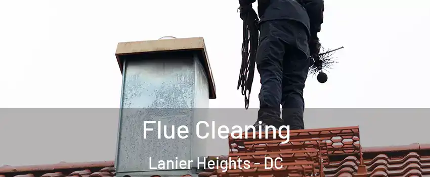 Flue Cleaning Lanier Heights - DC