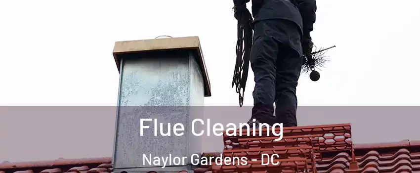 Flue Cleaning Naylor Gardens - DC