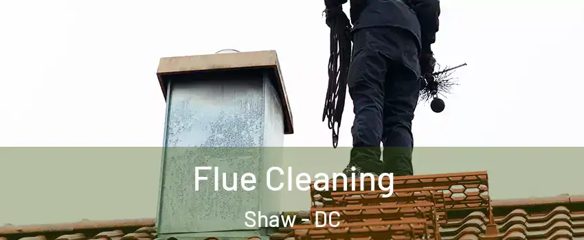 Flue Cleaning Shaw - DC