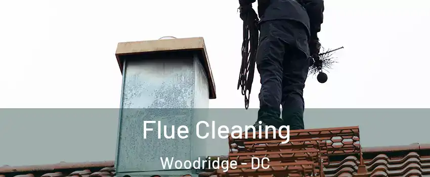 Flue Cleaning Woodridge - DC