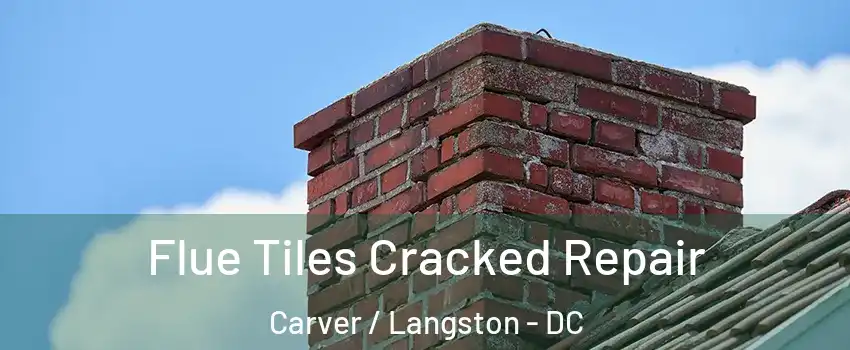 Flue Tiles Cracked Repair Carver / Langston - DC