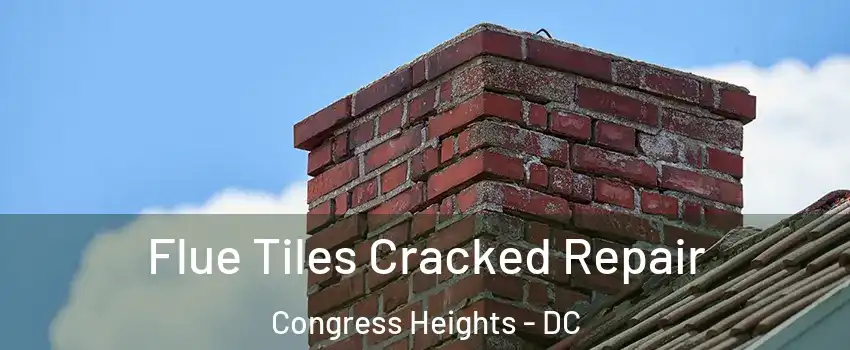Flue Tiles Cracked Repair Congress Heights - DC