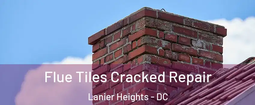 Flue Tiles Cracked Repair Lanier Heights - DC