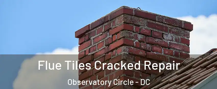 Flue Tiles Cracked Repair Observatory Circle - DC