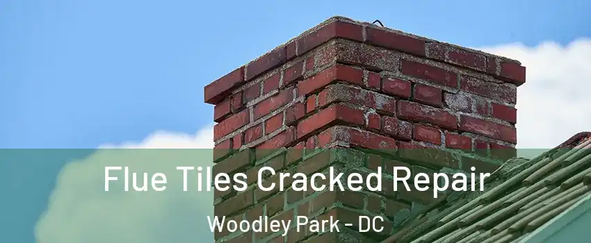 Flue Tiles Cracked Repair Woodley Park - DC