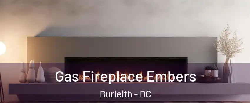 Gas Fireplace Embers Burleith - DC