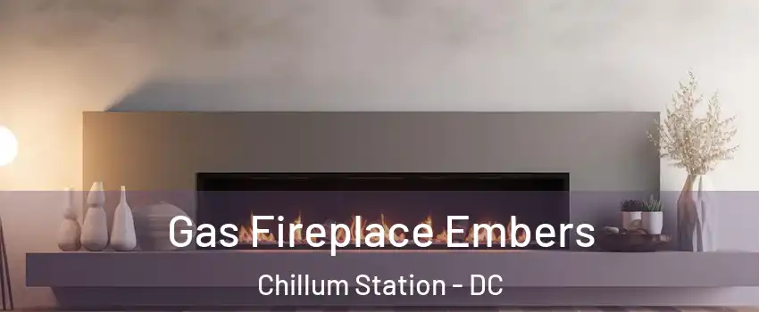 Gas Fireplace Embers Chillum Station - DC