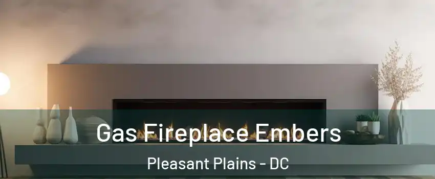Gas Fireplace Embers Pleasant Plains - DC