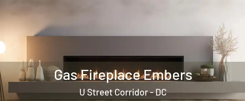 Gas Fireplace Embers U Street Corridor - DC