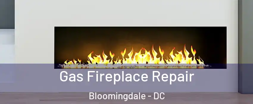 Gas Fireplace Repair Bloomingdale - DC