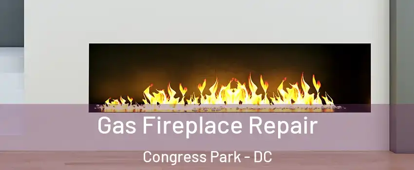 Gas Fireplace Repair Congress Park - DC
