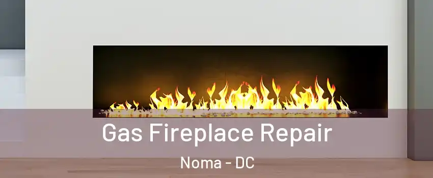 Gas Fireplace Repair Noma - DC