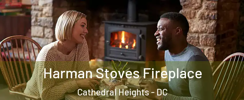 Harman Stoves Fireplace Cathedral Heights - DC