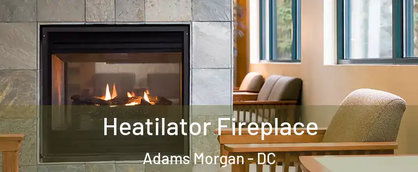 Heatilator Fireplace Adams Morgan - DC