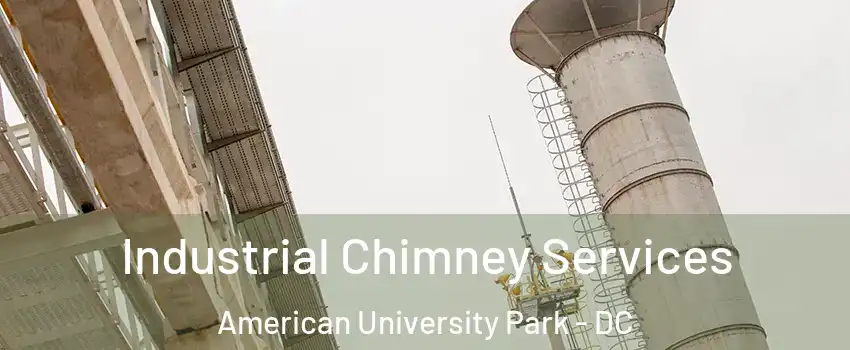 Industrial Chimney Services American University Park - DC