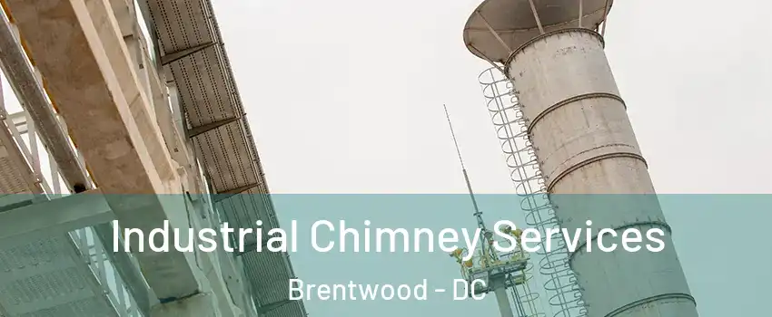 Industrial Chimney Services Brentwood - DC