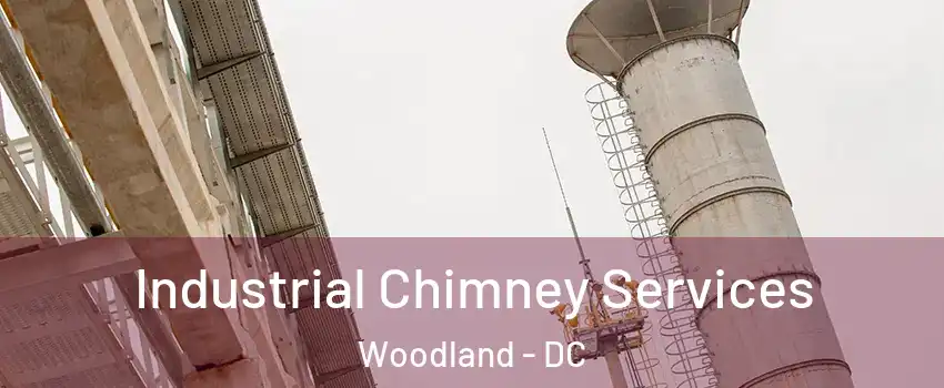 Industrial Chimney Services Woodland - DC