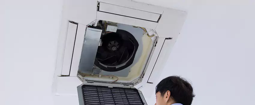 Benefits of Professional Air Duct Cleaning in Park View, District of Columbia