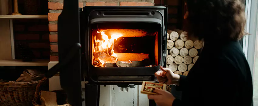Hearthstone Wood Stoves Fireplace Repair in Georgetown, District of Columbia