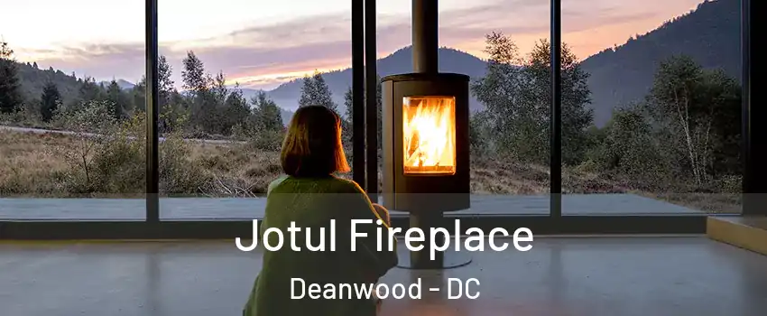 Jotul Fireplace Deanwood - DC