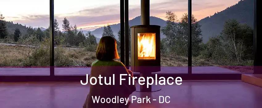 Jotul Fireplace Woodley Park - DC
