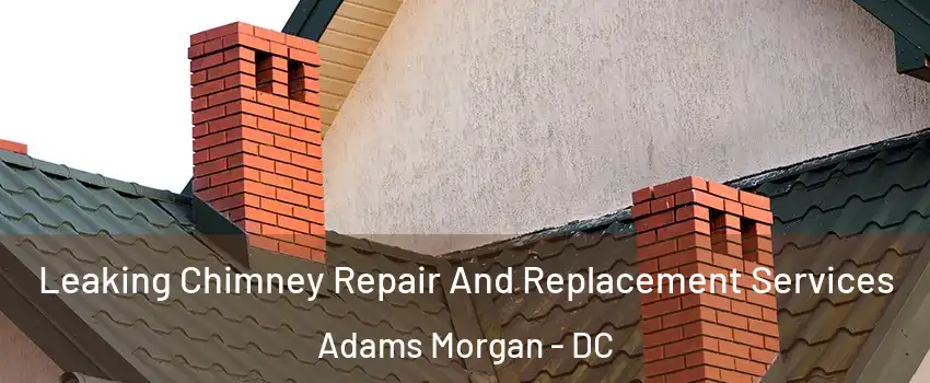 Leaking Chimney Repair And Replacement Services Adams Morgan - DC